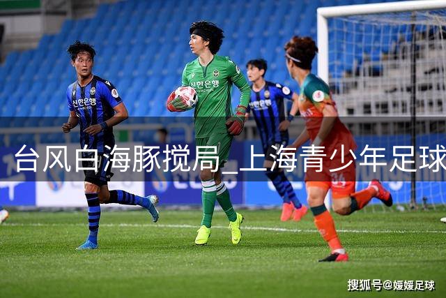 台风"白海豚"搅局 上海青少年足球决赛被迫取消 中英两队共享冠军殊荣