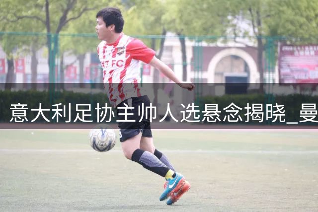 意大利足协主帅人选悬念揭晓 曼奇尼或成最终人选