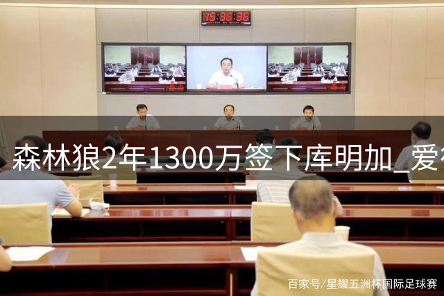 森林狼2年1300万签下库明加 爱德华兹带队完成关键引援